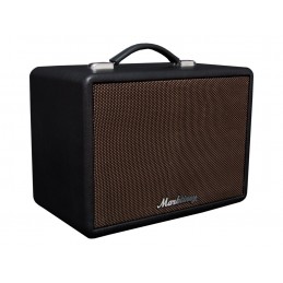 MARKTINEZ MGB 100 USB BAT AMPLI  GUITARE/BASSE BLUETOOTH FX 15W AVEC BATTERIE